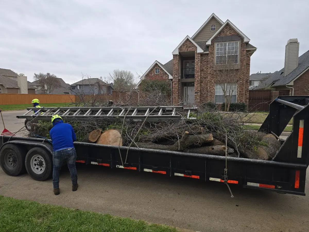 Expert Tree Fertilization with proper safety equipment in Shady Dale